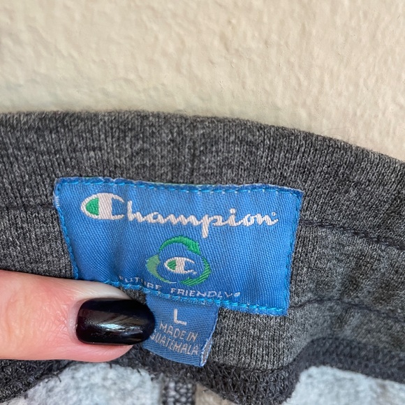 University of Michigan Champion Gray Sweatpants - Picture 7 of 10